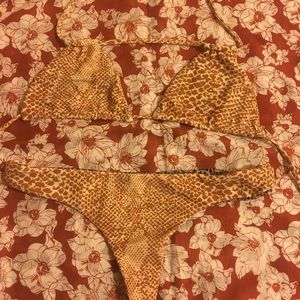 Acacia mud snake set